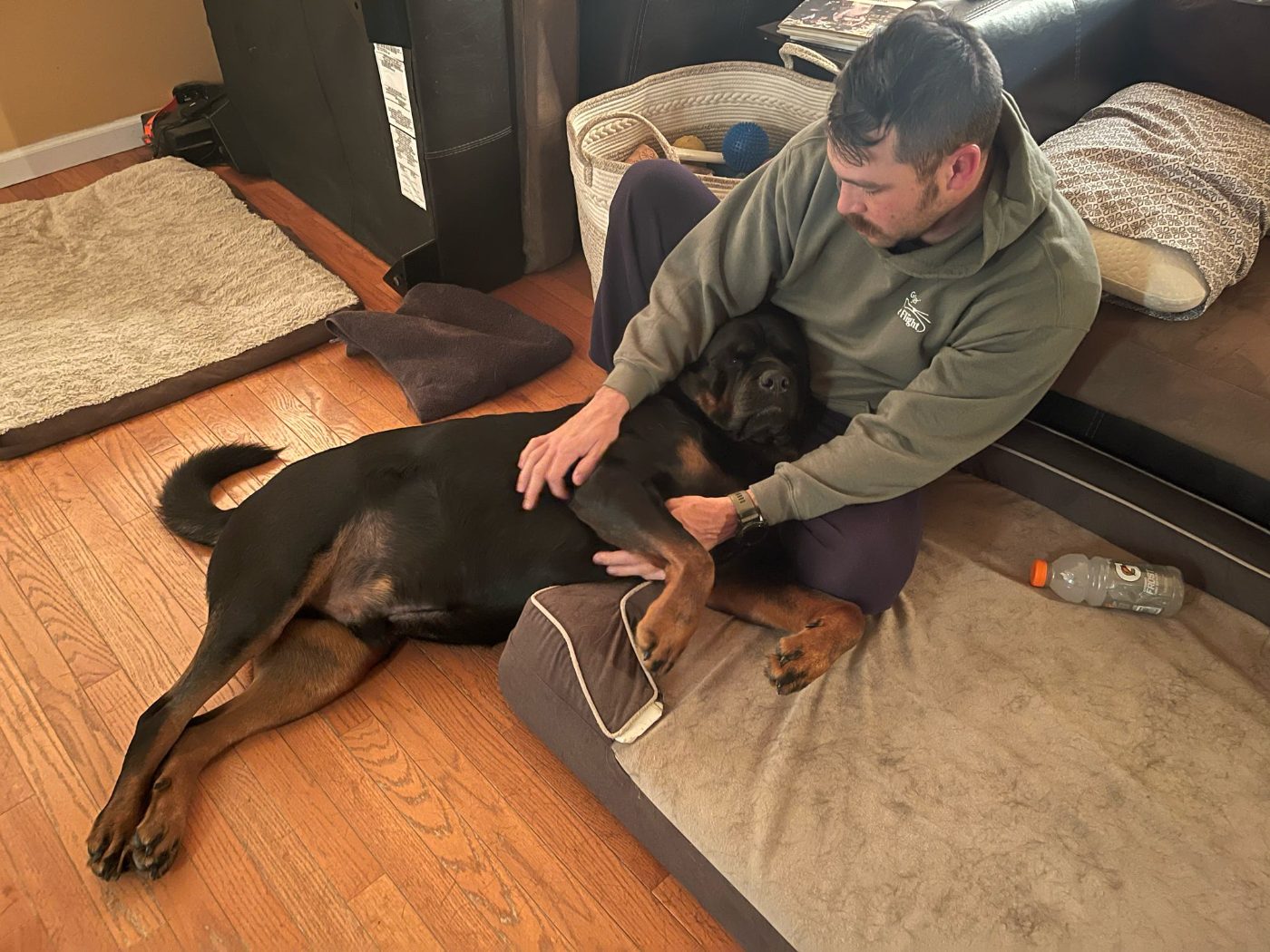 Rob with the Rottweilers